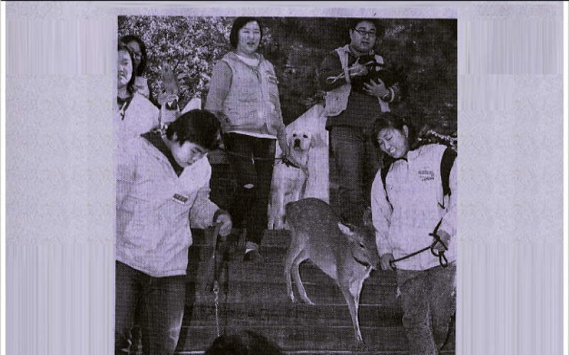 동물과 함께 등교하는 대경대학생