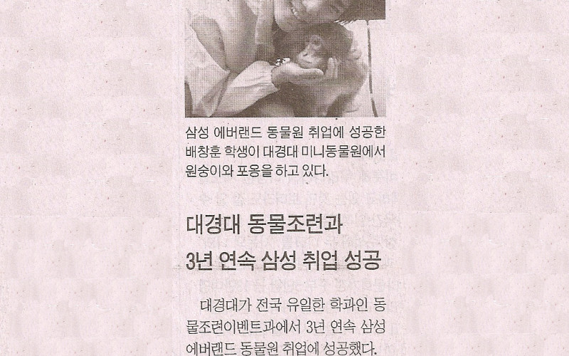 3년 연속 삼성 취업 성공