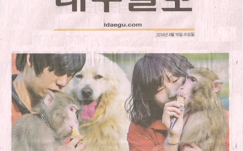 &#034;동물들도 덥네요&#034; 더위 찾아온 캠퍼스