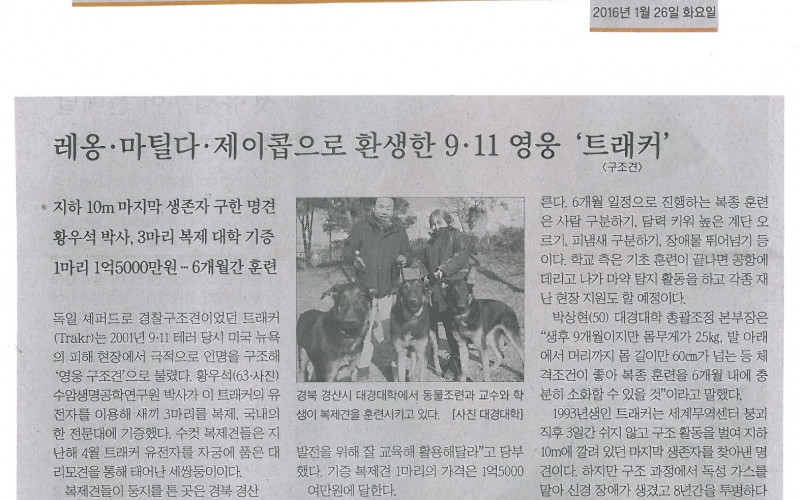 레옹.마틸다.제이콥으로 환생한 9.11 영웅 '트래커'
