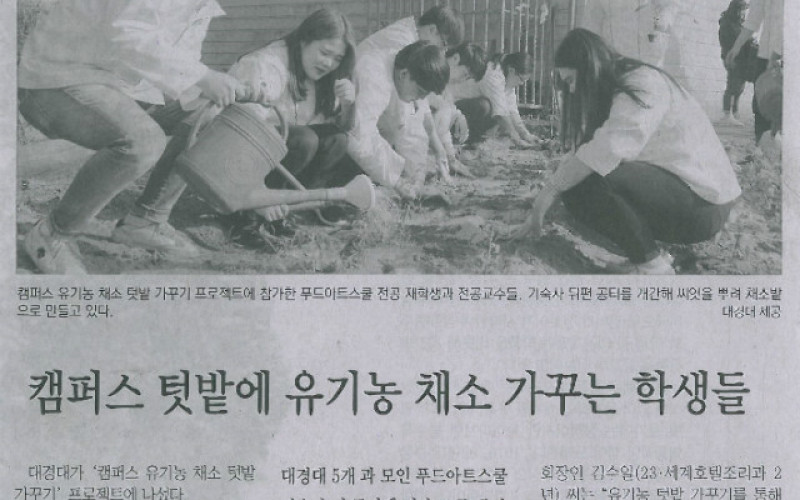 캠퍼스 텃밭에 유기농 채소 가꾸는 학생들