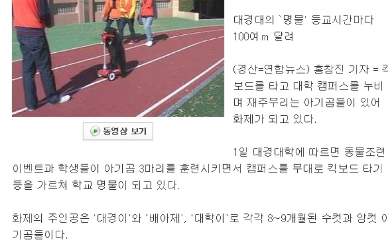 &lt;킥보드 타고 캠퍼스 누비는 아기곰들&gt;