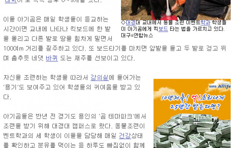 캠퍼스에 킥보드 탄 아기곰들이…