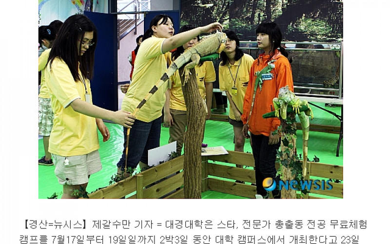 대경대학 전공무료체험캠프