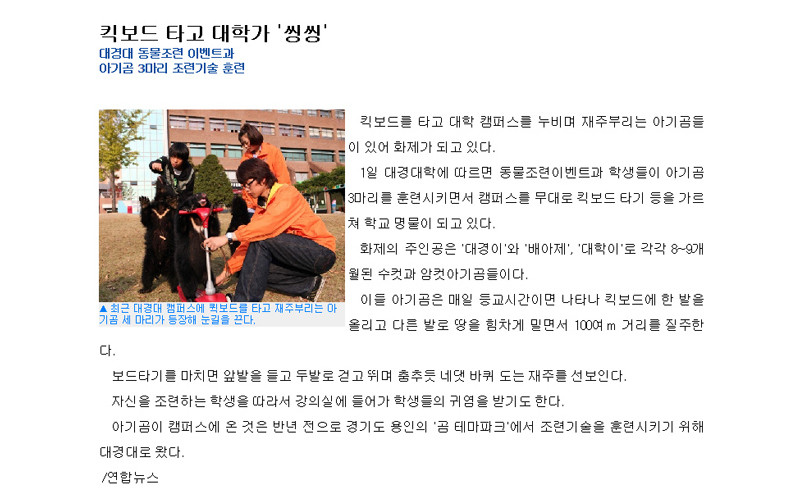 킥보드 타고 대학가 '씽씽'