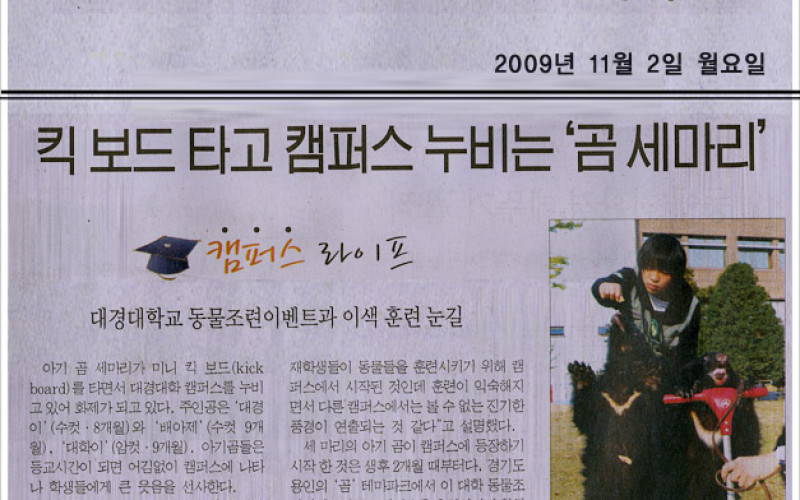 킥보드 타고 캠퍼스 누비는 '곰세마리'