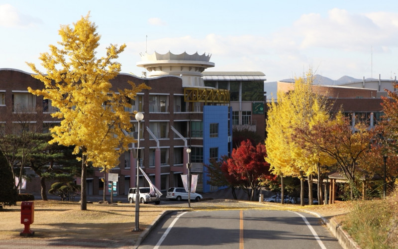 대경대 경북 RISE 사업 추가 공모 2개 과제 선정“7개 과제 전체 선정을 통해 경북형 지역혁신 모델에 탄력”